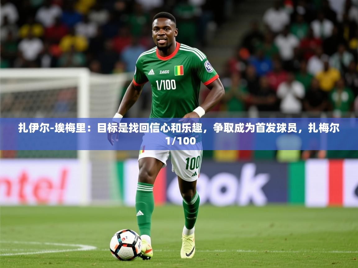 2025开云体育登入口网页版扎伊尔-埃梅里：目标是找回信心和乐趣，争取成为首发球员，扎梅尔 1/100  第4张