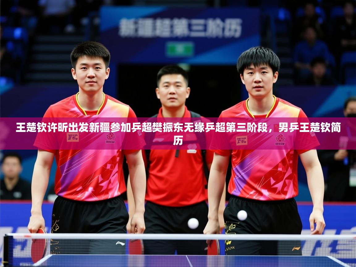 2025云开体育入口王楚钦许昕出发新疆参加乒超樊振东无缘乒超第三阶段,男乒王楚钦简历 第1张