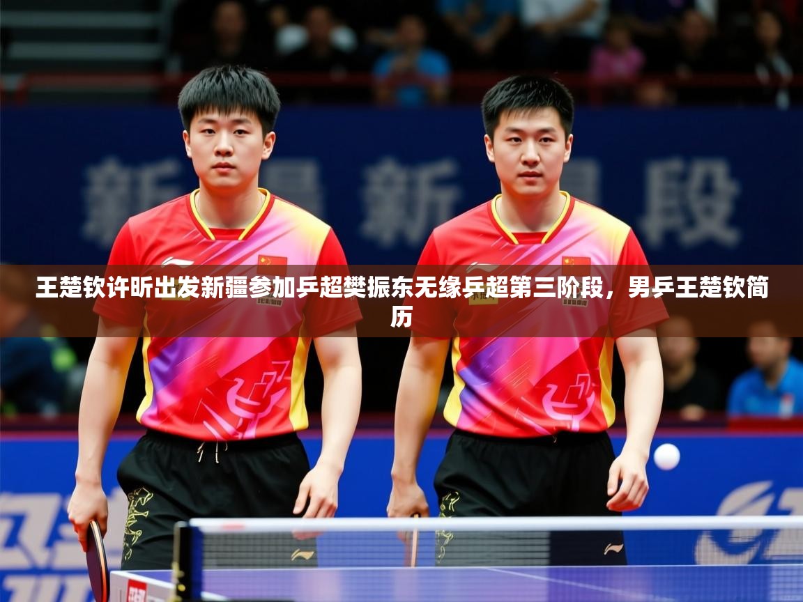 2025云开体育入口王楚钦许昕出发新疆参加乒超樊振东无缘乒超第三阶段,男乒王楚钦简历 第3张