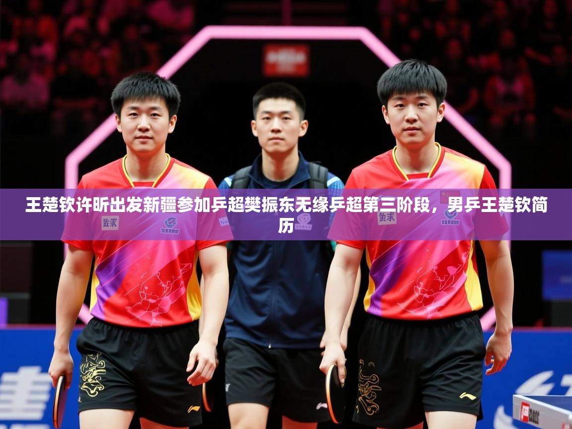 2025云开体育入口王楚钦许昕出发新疆参加乒超樊振东无缘乒超第三阶段,男乒王楚钦简历 第4张